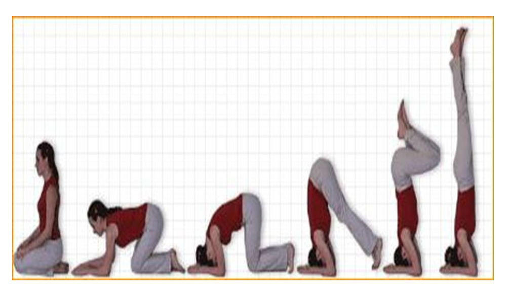 Sirsha – asana – The Head Stand   