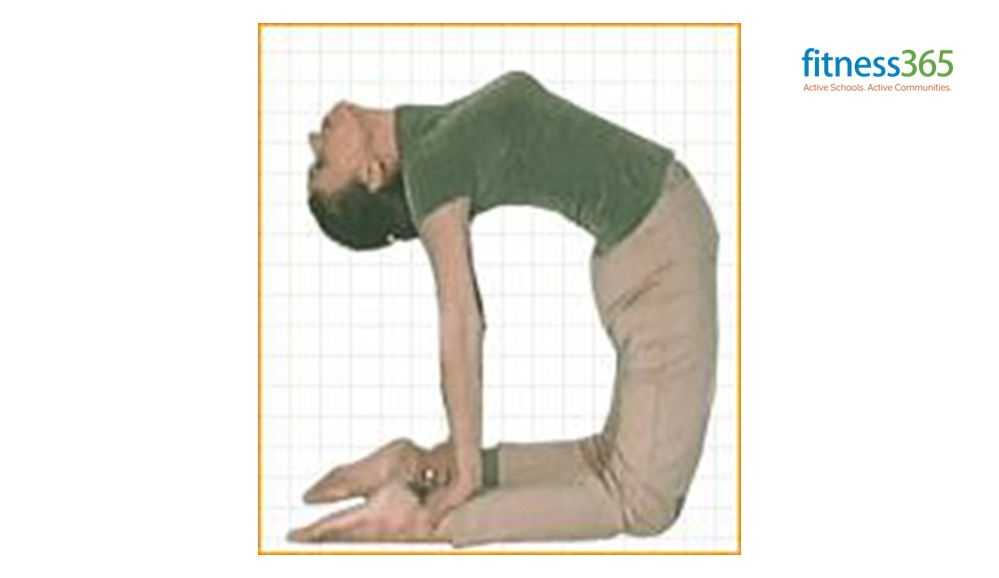 Yoga, young beautiful slender woman yoga instructor doing advanced  variation of camel pose (Ustrasana) asana exercise isolated on white  background. - Album alb9217935