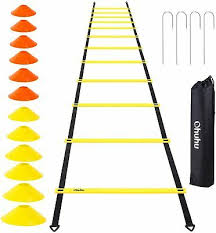 Agility Ladder Challenge